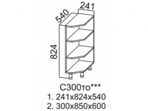 С300то Стол-рабочий 300 (торцевой открытый) в Очёре - ochyor.магазин96.com | фото