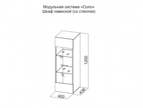 Шкаф навесной (со стеклом) в Очёре - ochyor.магазин96.com | фото