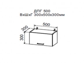 Шкаф верхний ДПГ500 горизонтальный в Очёре - ochyor.магазин96.com | фото