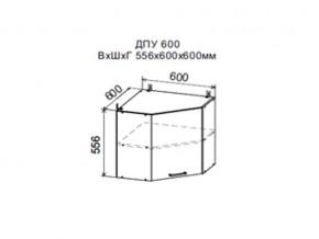 Шкаф верхний ДПУ600 угловой в Очёре - ochyor.магазин96.com | фото